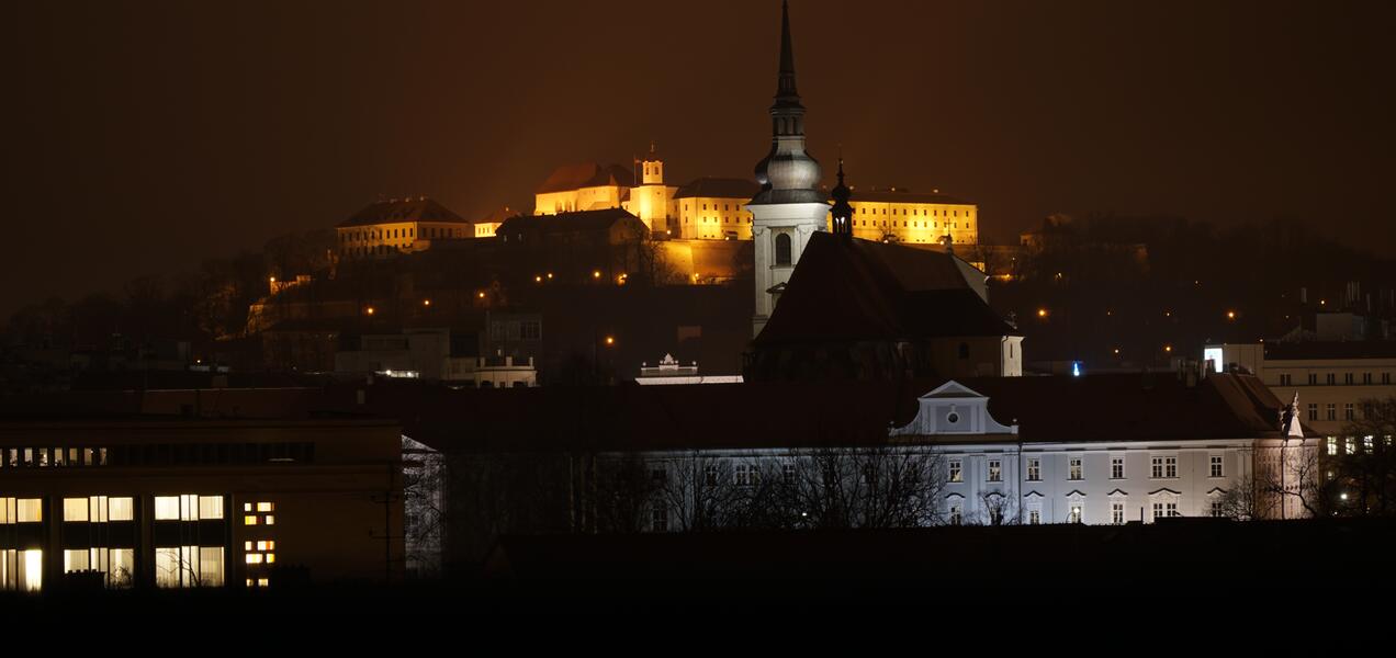 Střechy Brno